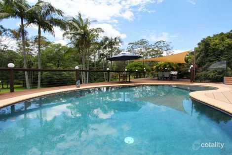 Property photo of 51 River Gum Drive Diddillibah QLD 4559