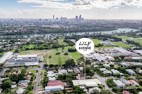 Property photo of 13 Lily Avenue Yeronga QLD 4104