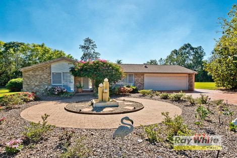 Property photo of 1 Banks Court Bunya QLD 4055