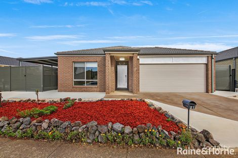 Property photo of 21 Baratta Road Tarneit VIC 3029