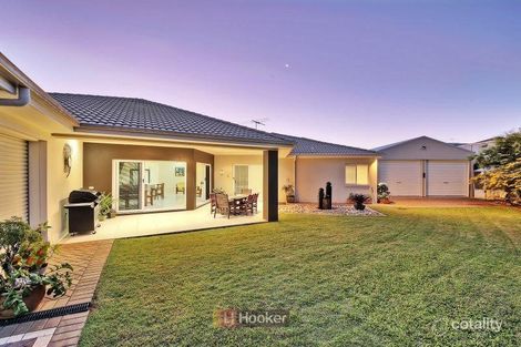 Property photo of 59 Alfred Circuit Calamvale QLD 4116