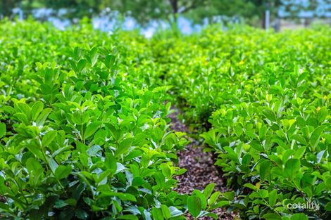 Property photo of 61 Cairnes Road Glenorie NSW 2157