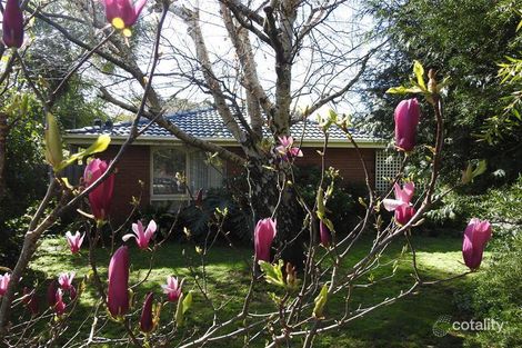 Property photo of 101 Princes Highway Beaconsfield VIC 3807