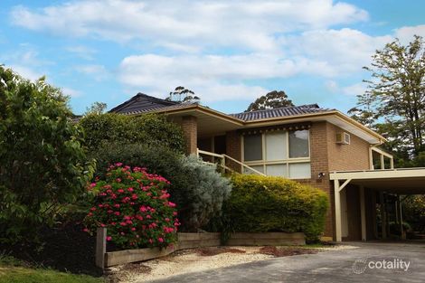 Property photo of 115 Rolling Hills Road Chirnside Park VIC 3116