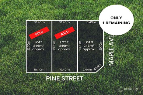 3/71 Maple Ave, Royal Park, SA 5014