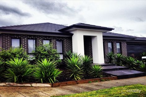 Property photo of 12 Farmhouse Boulevard Epping VIC 3076