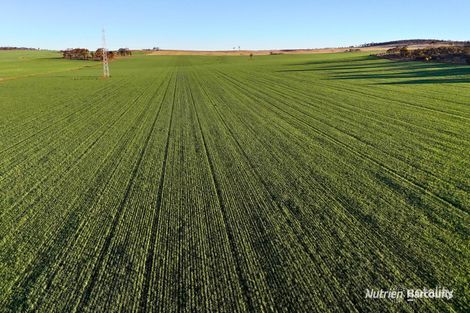 Lot 379 Garratt Rd, Southern Cross, WA 6426