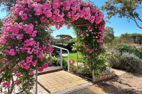 72 Bannister St, Narrogin, WA 6312