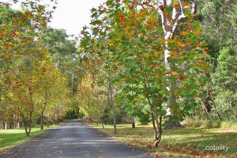 7 Yowie Cl, Bensville, NSW 2251