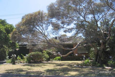 Property photo of 3 Fern Avenue Tea Tree Gully SA 5091