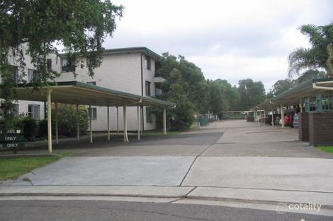 Property photo of 21/2 Evelyn Avenue Concord NSW 2137
