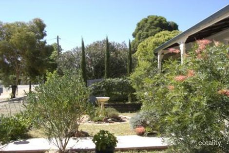 Property photo of 41 Ivor Street Henty NSW 2658