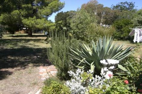 Property photo of 41 Ivor Street Henty NSW 2658