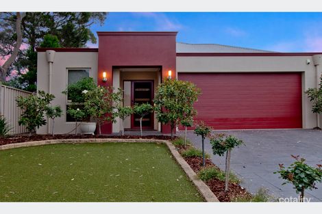 Property photo of 41 Douglas Street Lockleys SA 5032