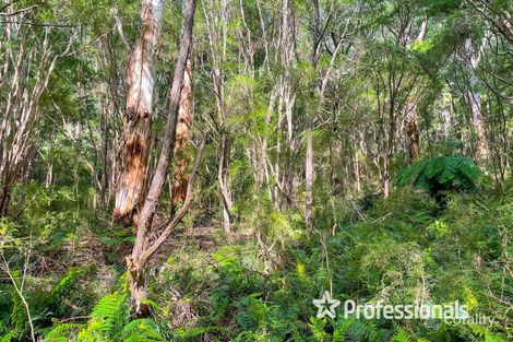 Property photo of 41 Hillcrest Road Don Valley VIC 3139