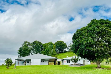 1297 Mossman-Mount Molloy Rd, Julatten, QLD 4871