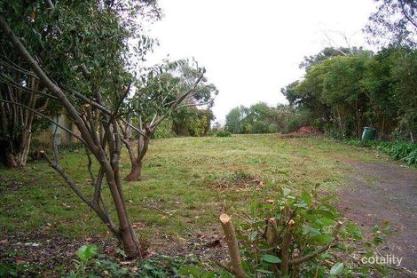 Property photo of 25 Steen Avenue Shoreham VIC 3916