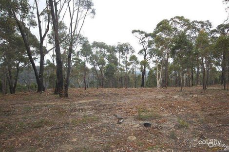 Property photo of 24 Badgery Street Willow Vale NSW 2575