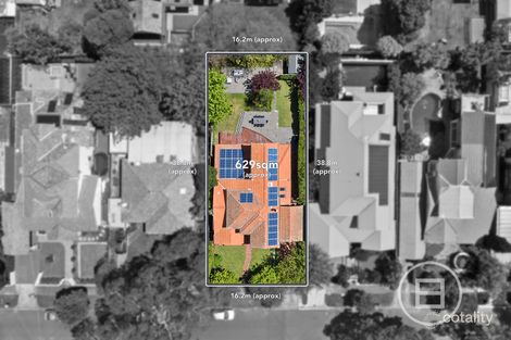Property photo of 5 Storey Avenue Hampton VIC 3188