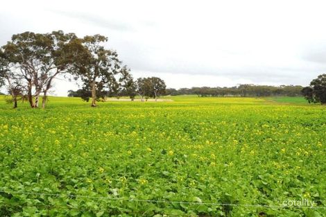 1036 Piesseville-Tarwonga Rd, Piesseville, WA 6315