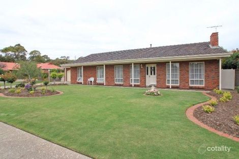 52 Hamilton Ave, Warradale, SA 5046