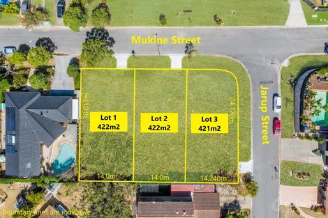Property photo of 21 Mukine Street Jindalee QLD 4074