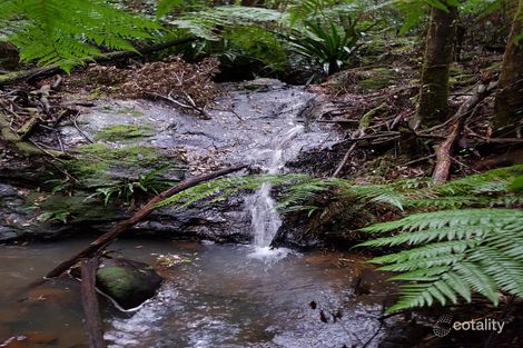 Property photo of 162 Repeater Station Road Springbrook QLD 4213