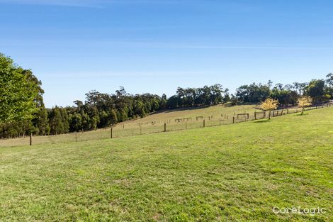 Property photo of 1975 Healesville-Kinglake Road Toolangi VIC 3777