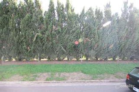Property photo of 22 Farmer Street Newton SA 5074