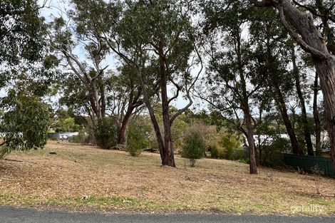 Property photo of 10 Wattle Tree Road Bridgewater SA 5155
