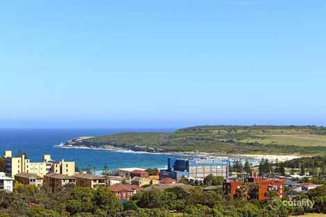 Property photo of 287 Storey Street Maroubra NSW 2035