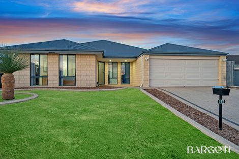 Property photo of 44 Bendora Turn Ellenbrook WA 6069