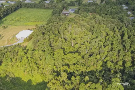 Property photo of 14 Abraham Street Tully QLD 4854