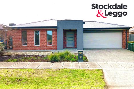 Property photo of 16 Celadon Street Epping VIC 3076