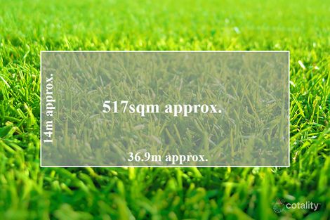 31 Springleaf Rd, Tarneit, VIC 3029