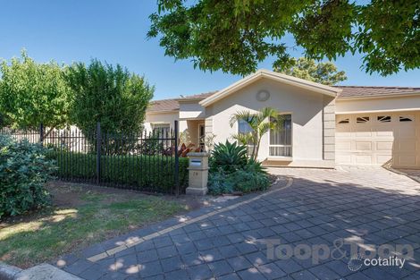 19 Douglas St, Magill, SA 5072
