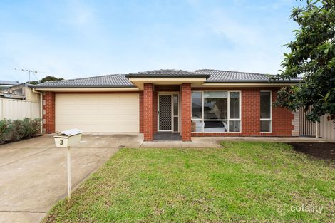 Property photo of 3 Wyn Street Campbelltown SA 5074