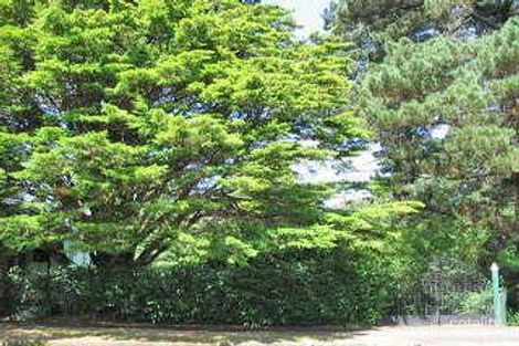 254 Leura Mall, Leura, NSW 2780