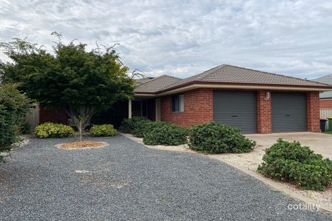 41 Winnell Ct, Thurgoona, NSW 2640