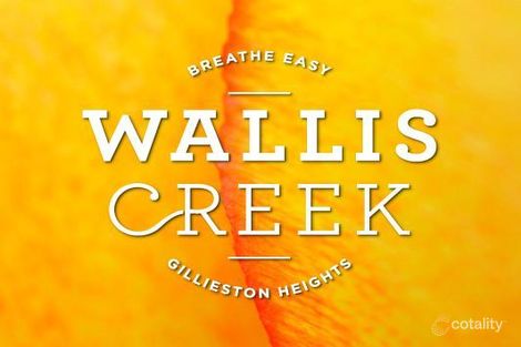 Property photo of LOT 912 Medlar Circuit Gillieston Heights NSW 2321