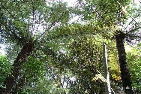 Property photo of 23 Pine Road Penguin TAS 7316