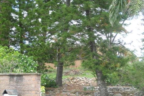 Property photo of 22 Herbertson Road Calliope QLD 4680