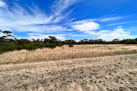 2123 Sunraysia Hwy, Turriff, VIC 3488