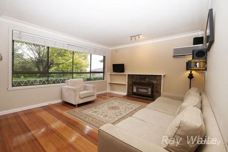 Property photo of 19 Harrow Street Blackburn South VIC 3130
