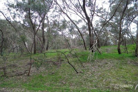 17 Ash Ave, Belair, SA 5052