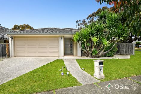 Property photo of 10 Spence Terrace Sandhurst VIC 3977