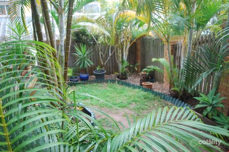 Property photo of 3/17 Janal Place Currumbin Waters QLD 4223