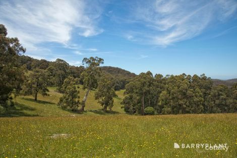 Property photo of 220 Mt Eirene Road Gembrook VIC 3783