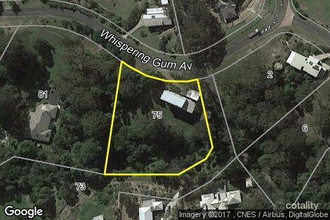 Property photo of 75 Whispering Gum Avenue Eumundi QLD 4562