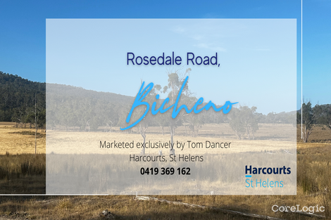 Property photo of LOT 1 Rosedale Road Bicheno TAS 7215